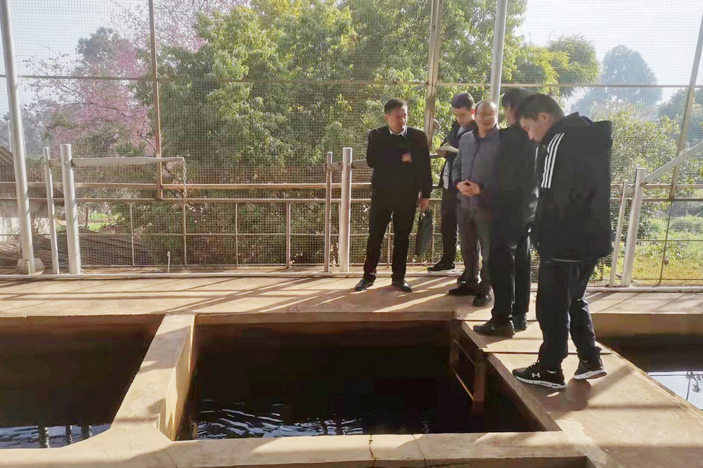 1640605799330871.jpg 2.jpg